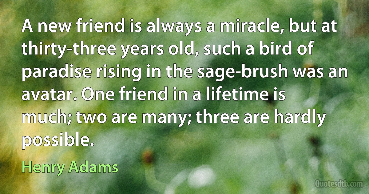 A new friend is always a miracle, but at thirty-three years old, such a bird of paradise rising in the sage-brush was an avatar. One friend in a lifetime is much; two are many; three are hardly possible. (Henry Adams)