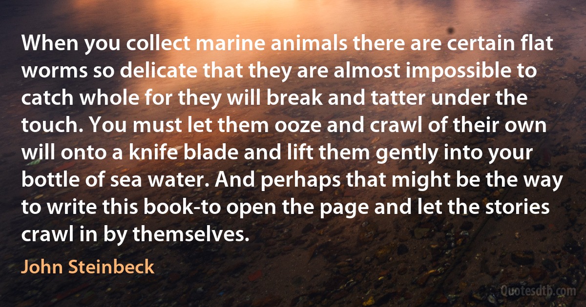 When you collect marine animals there are certain flat worms so delicate that they are almost impossible to catch whole for they will break and tatter under the touch. You must let them ooze and crawl of their own will onto a knife blade and lift them gently into your bottle of sea water. And perhaps that might be the way to write this book-to open the page and let the stories crawl in by themselves. (John Steinbeck)