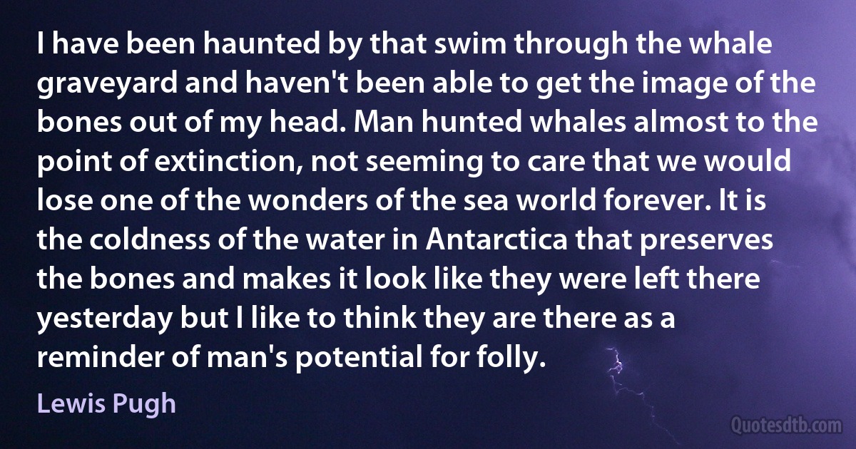 I have been haunted by that swim through the whale graveyard and haven't been able to get the image of the bones out of my head. Man hunted whales almost to the point of extinction, not seeming to care that we would lose one of the wonders of the sea world forever. It is the coldness of the water in Antarctica that preserves the bones and makes it look like they were left there yesterday but I like to think they are there as a reminder of man's potential for folly. (Lewis Pugh)