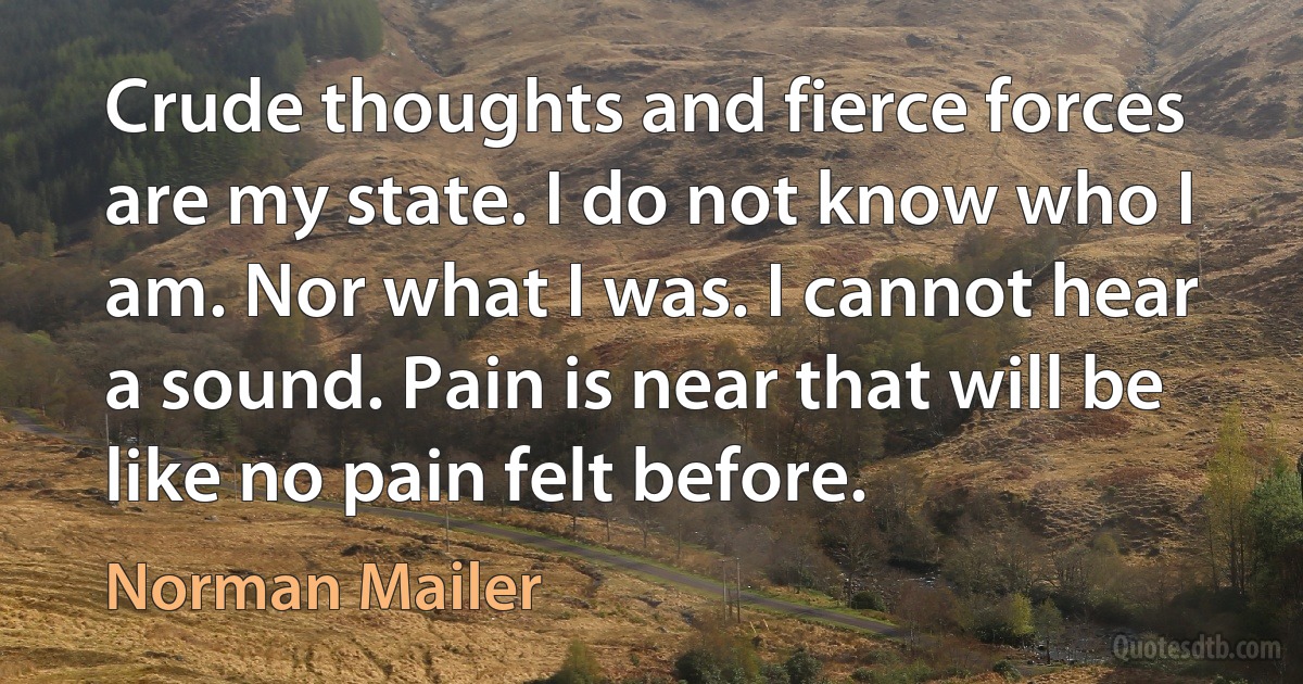 Crude thoughts and fierce forces are my state. I do not know who I am. Nor what I was. I cannot hear a sound. Pain is near that will be like no pain felt before. (Norman Mailer)