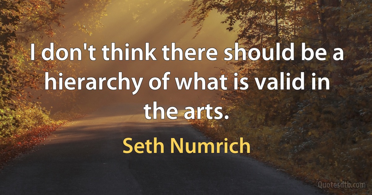 I don't think there should be a hierarchy of what is valid in the arts. (Seth Numrich)