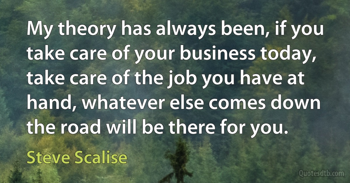 My theory has always been, if you take care of your business today, take care of the job you have at hand, whatever else comes down the road will be there for you. (Steve Scalise)