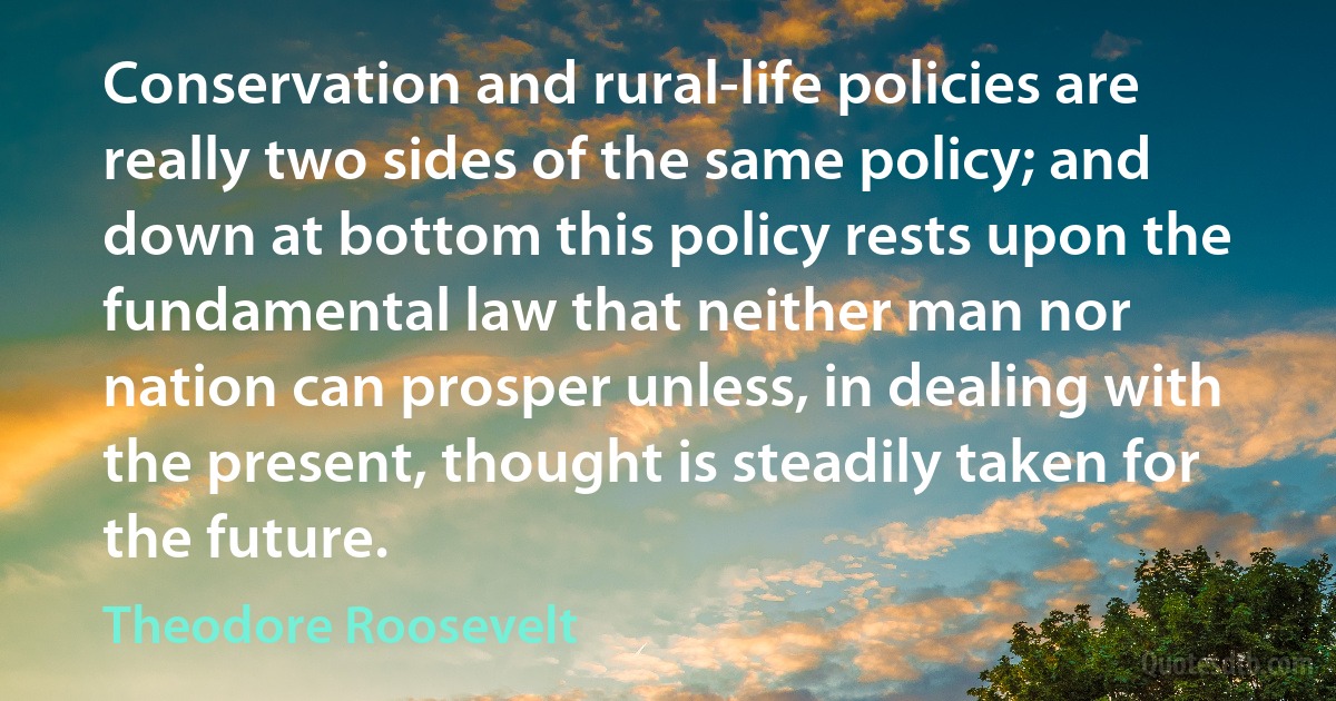 Conservation and rural-life policies are really two sides of the same policy; and down at bottom this policy rests upon the fundamental law that neither man nor nation can prosper unless, in dealing with the present, thought is steadily taken for the future. (Theodore Roosevelt)