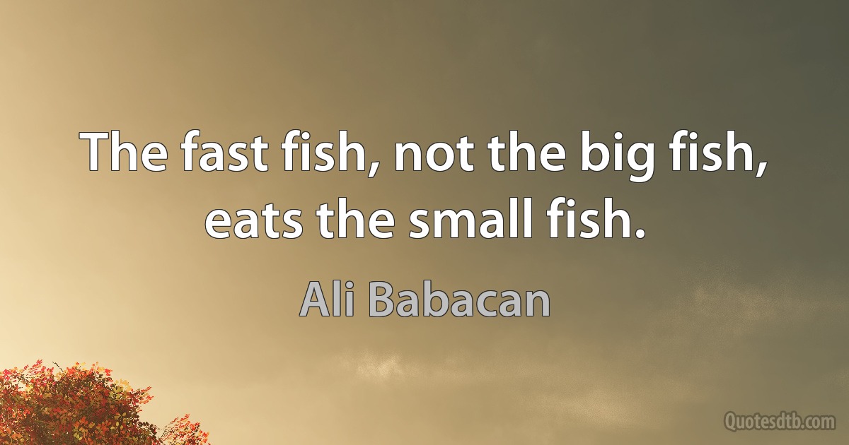 The fast fish, not the big fish, eats the small fish. (Ali Babacan)