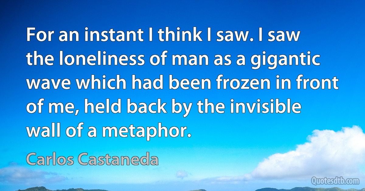 For an instant I think I saw. I saw the loneliness of man as a gigantic wave which had been frozen in front of me, held back by the invisible wall of a metaphor. (Carlos Castaneda)