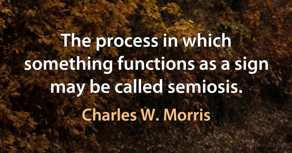 The process in which something functions as a sign may be called semiosis. (Charles W. Morris)