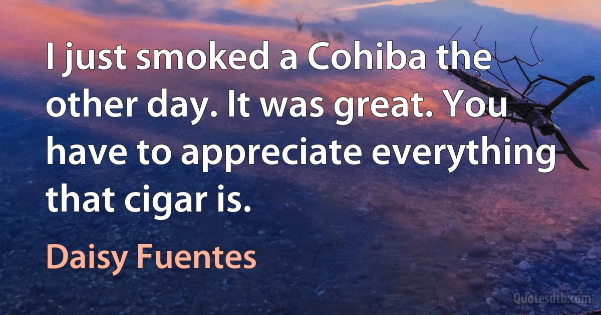 I just smoked a Cohiba the other day. It was great. You have to appreciate everything that cigar is. (Daisy Fuentes)