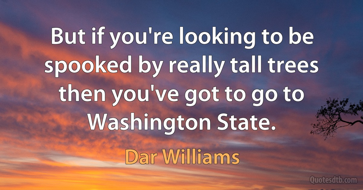 But if you're looking to be spooked by really tall trees then you've got to go to Washington State. (Dar Williams)