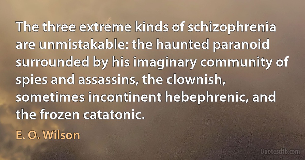 The three extreme kinds of schizophrenia are unmistakable: the haunted paranoid surrounded by his imaginary community of spies and assassins, the clownish, sometimes incontinent hebephrenic, and the frozen catatonic. (E. O. Wilson)