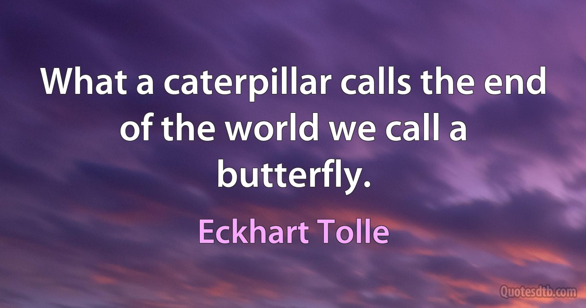 What a caterpillar calls the end of the world we call a butterfly. (Eckhart Tolle)