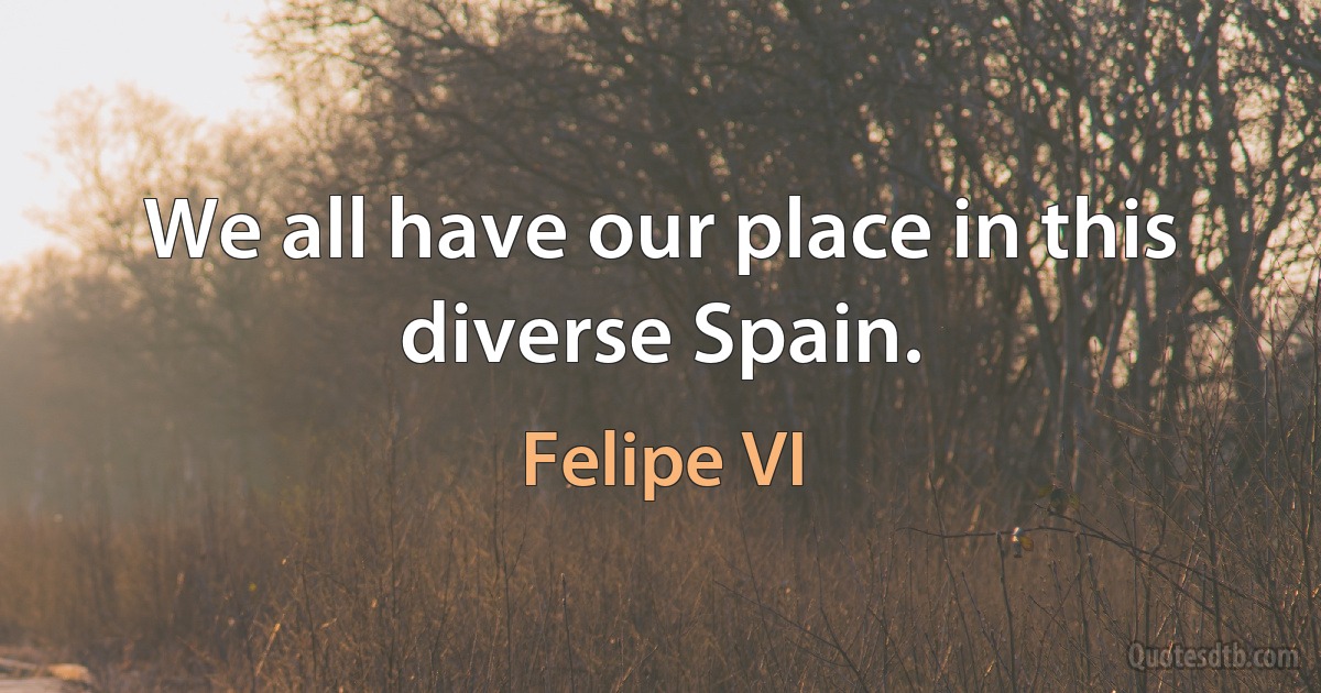 We all have our place in this diverse Spain. (Felipe VI)