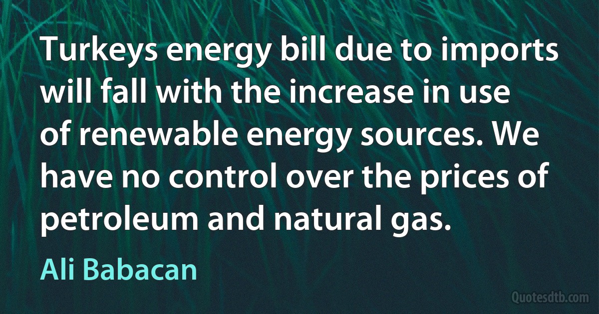 Turkeys energy bill due to imports will fall with the increase in use of renewable energy sources. We have no control over the prices of petroleum and natural gas. (Ali Babacan)