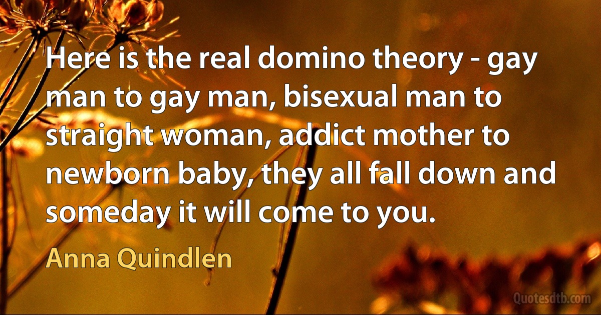 Here is the real domino theory - gay man to gay man, bisexual man to straight woman, addict mother to newborn baby, they all fall down and someday it will come to you. (Anna Quindlen)