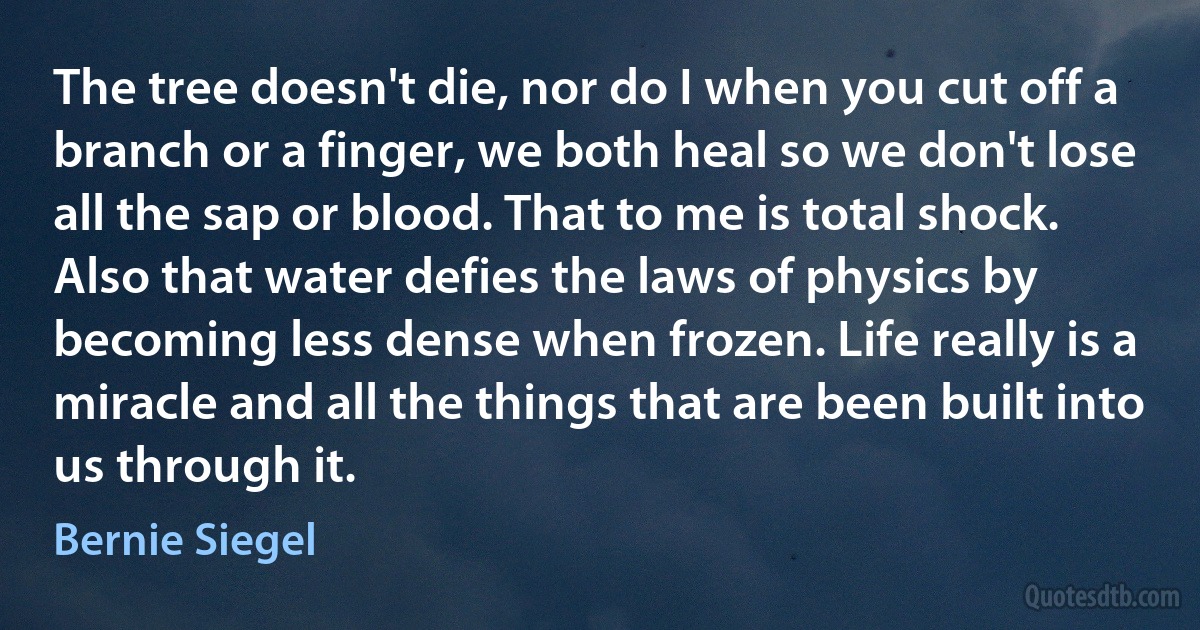 The tree doesn't die, nor do I when you cut off a branch or a finger, we both heal so we don't lose all the sap or blood. That to me is total shock. Also that water defies the laws of physics by becoming less dense when frozen. Life really is a miracle and all the things that are been built into us through it. (Bernie Siegel)