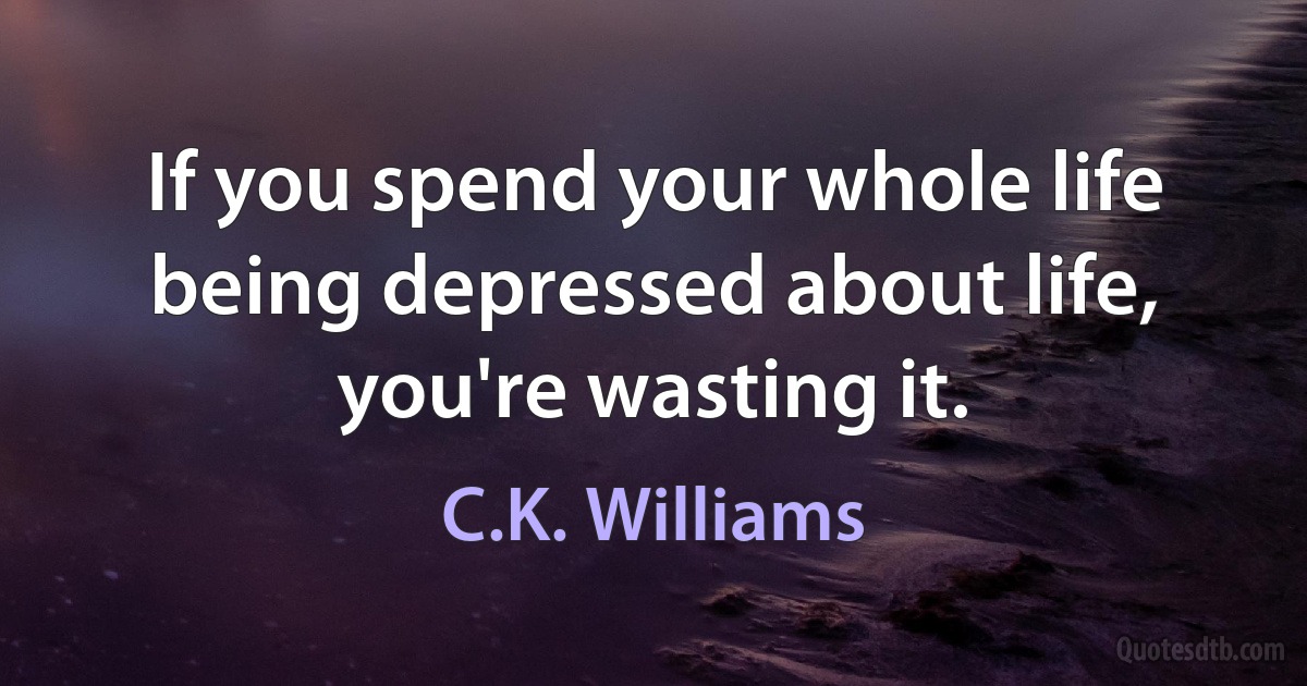 If you spend your whole life being depressed about life, you're wasting it. (C.K. Williams)