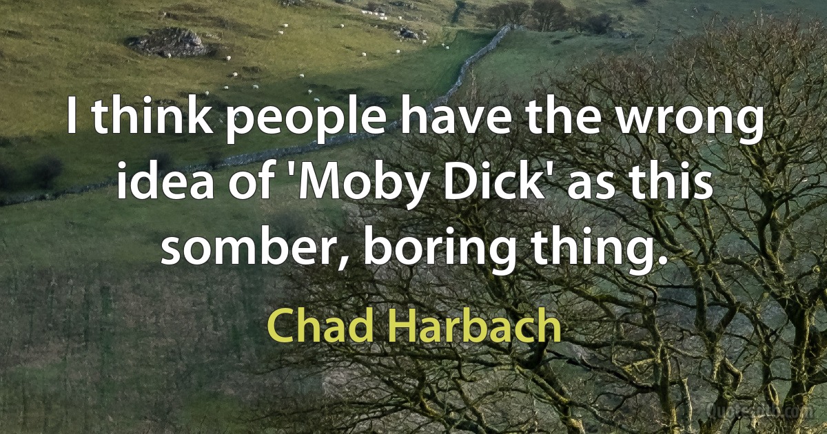 I think people have the wrong idea of 'Moby Dick' as this somber, boring thing. (Chad Harbach)