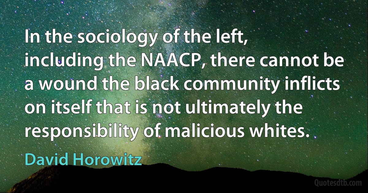 In the sociology of the left, including the NAACP, there cannot be a wound the black community inflicts on itself that is not ultimately the responsibility of malicious whites. (David Horowitz)