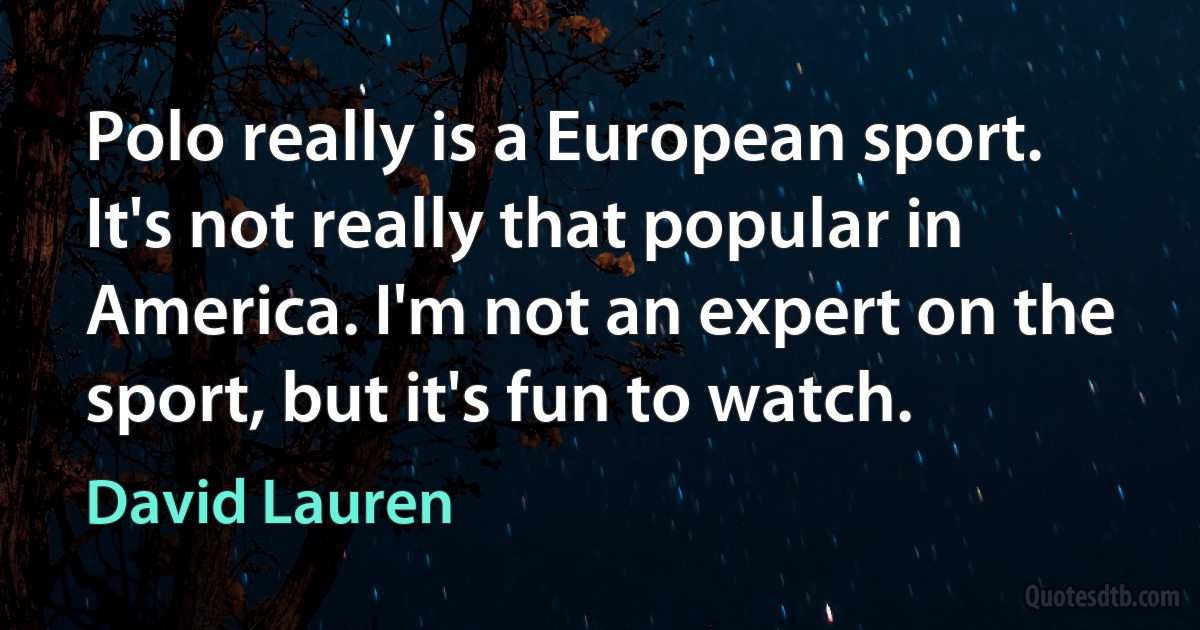 Polo really is a European sport. It's not really that popular in America. I'm not an expert on the sport, but it's fun to watch. (David Lauren)