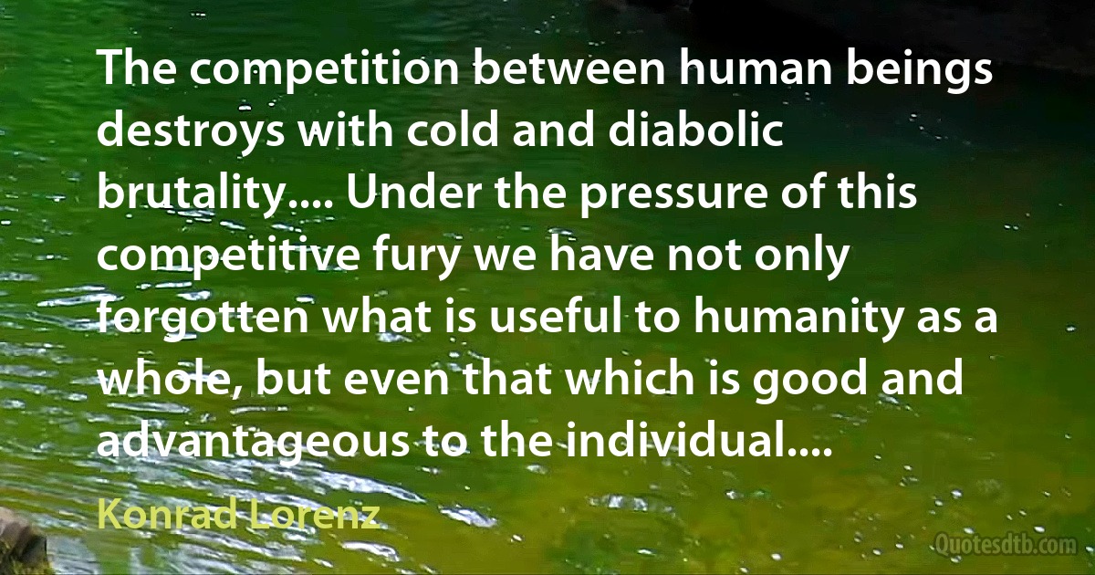 The competition between human beings destroys with cold and diabolic brutality.... Under the pressure of this competitive fury we have not only forgotten what is useful to humanity as a whole, but even that which is good and advantageous to the individual.... (Konrad Lorenz)