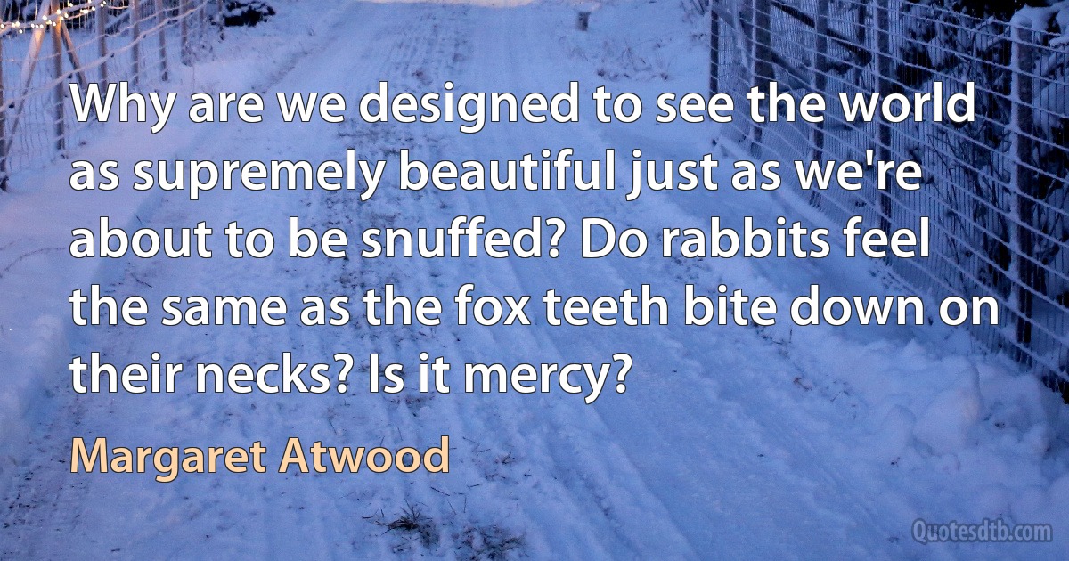 Why are we designed to see the world as supremely beautiful just as we're about to be snuffed? Do rabbits feel the same as the fox teeth bite down on their necks? Is it mercy? (Margaret Atwood)