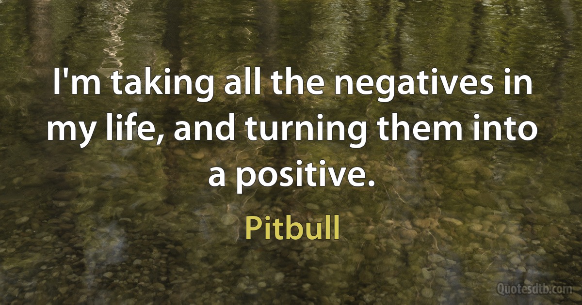 I'm taking all the negatives in my life, and turning them into a positive. (Pitbull)