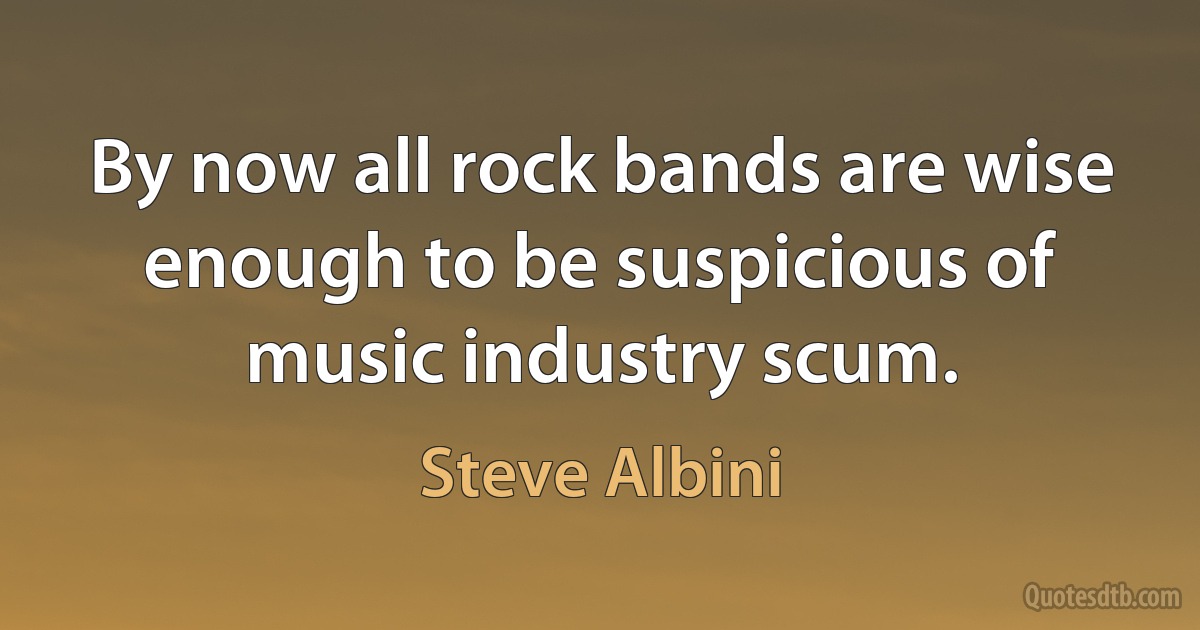 By now all rock bands are wise enough to be suspicious of music industry scum. (Steve Albini)