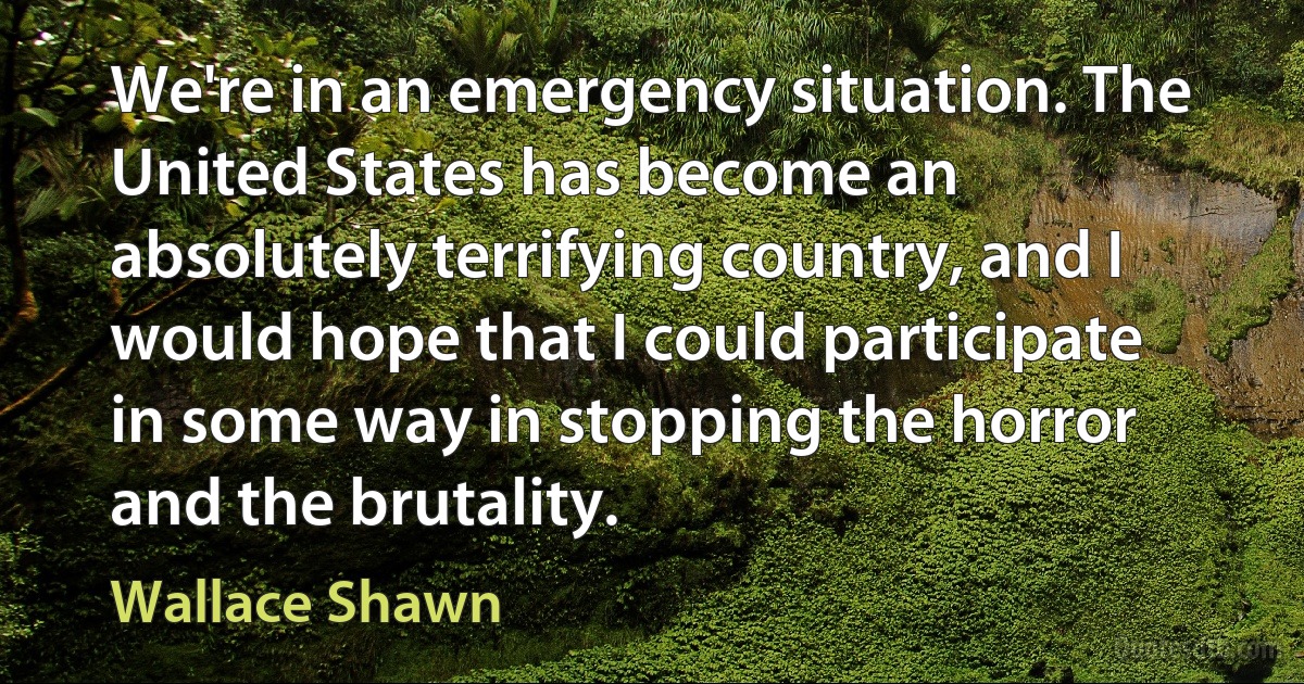 We're in an emergency situation. The United States has become an absolutely terrifying country, and I would hope that I could participate in some way in stopping the horror and the brutality. (Wallace Shawn)