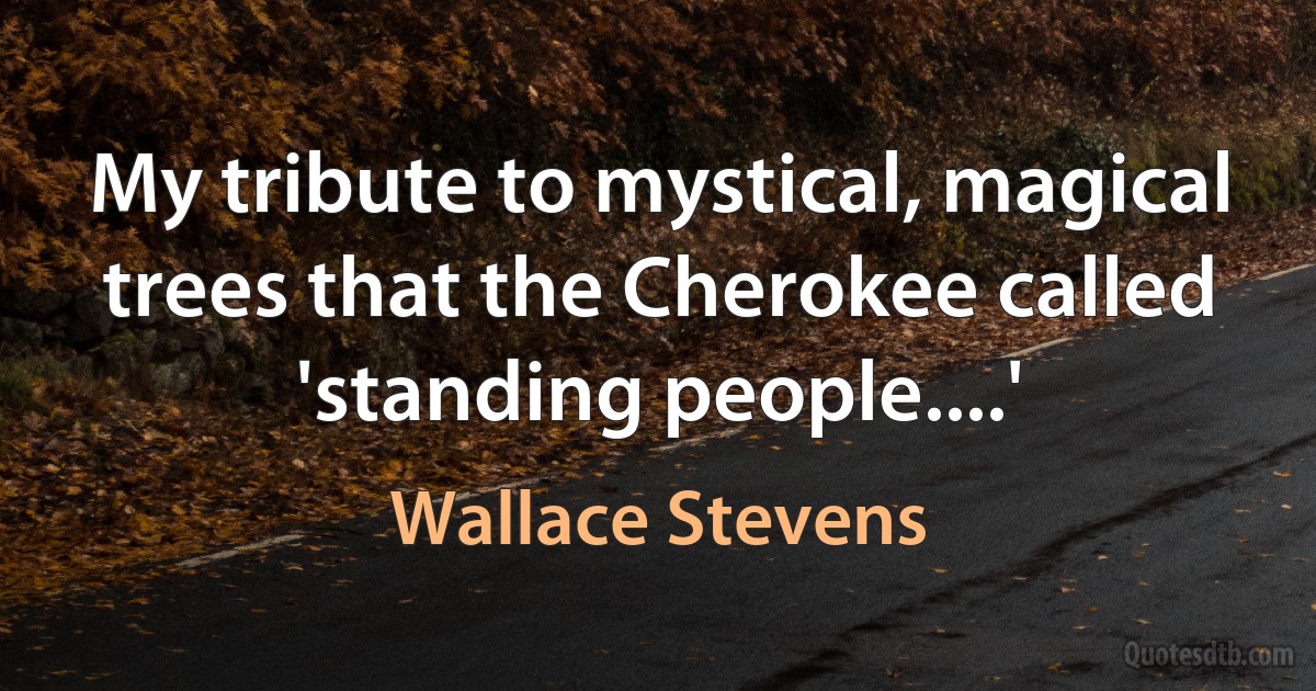 My tribute to mystical, magical trees that the Cherokee called 'standing people....' (Wallace Stevens)