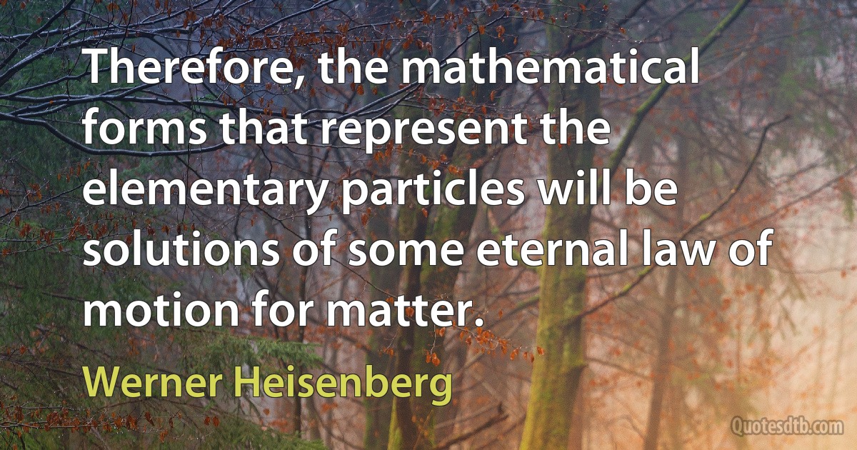 Therefore, the mathematical forms that represent the elementary particles will be solutions of some eternal law of motion for matter. (Werner Heisenberg)