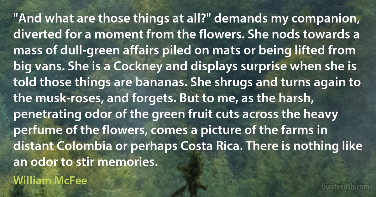 "And what are those things at all?" demands my companion, diverted for a moment from the flowers. She nods towards a mass of dull-green affairs piled on mats or being lifted from big vans. She is a Cockney and displays surprise when she is told those things are bananas. She shrugs and turns again to the musk-roses, and forgets. But to me, as the harsh, penetrating odor of the green fruit cuts across the heavy perfume of the flowers, comes a picture of the farms in distant Colombia or perhaps Costa Rica. There is nothing like an odor to stir memories. (William McFee)