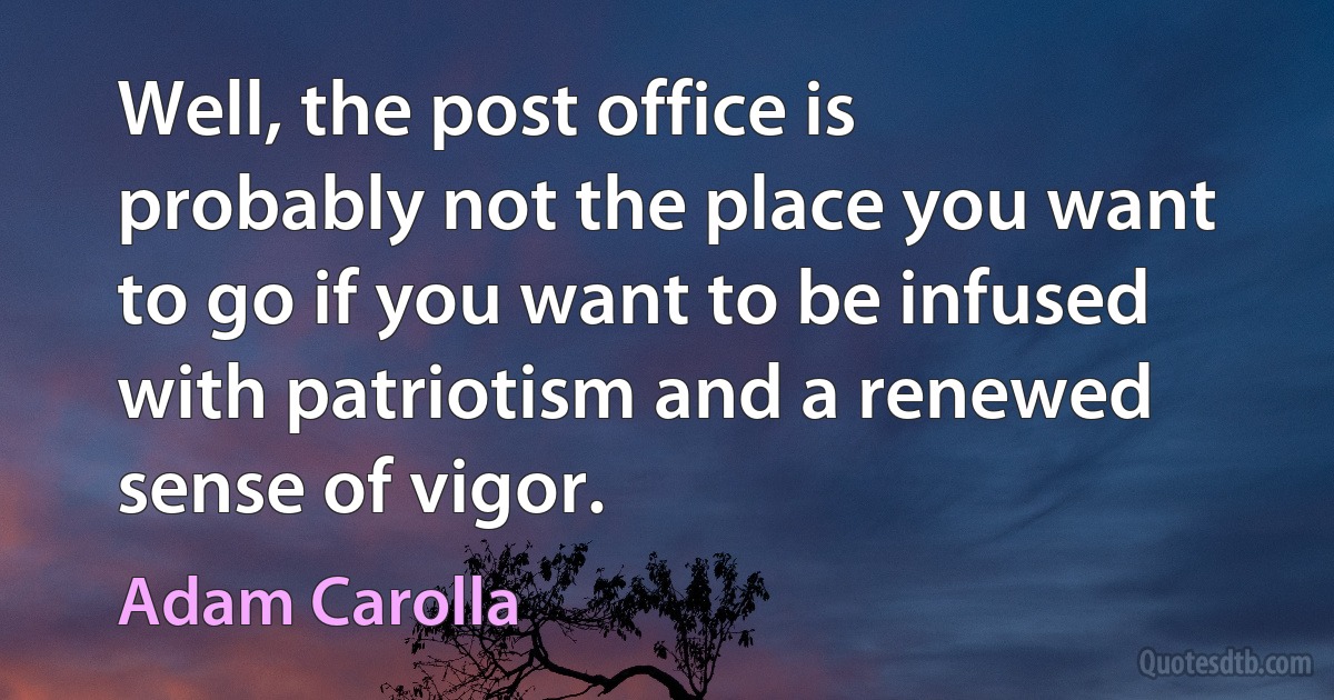 Well, the post office is probably not the place you want to go if you want to be infused with patriotism and a renewed sense of vigor. (Adam Carolla)