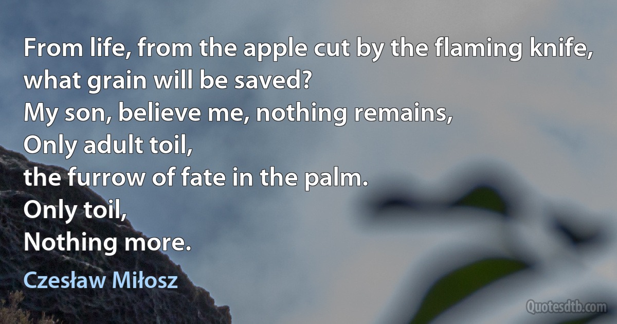 From life, from the apple cut by the flaming knife,
what grain will be saved?
My son, believe me, nothing remains,
Only adult toil,
the furrow of fate in the palm.
Only toil,
Nothing more. (Czesław Miłosz)