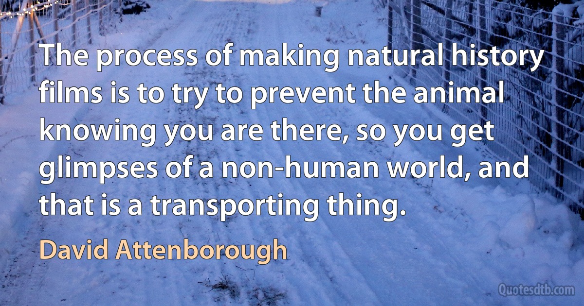 The process of making natural history films is to try to prevent the animal knowing you are there, so you get glimpses of a non-human world, and that is a transporting thing. (David Attenborough)