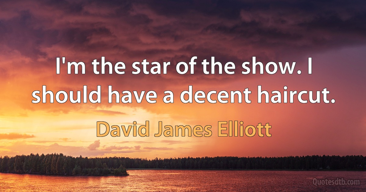 I'm the star of the show. I should have a decent haircut. (David James Elliott)