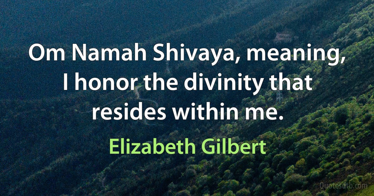 Om Namah Shivaya, meaning, I honor the divinity that resides within me. (Elizabeth Gilbert)