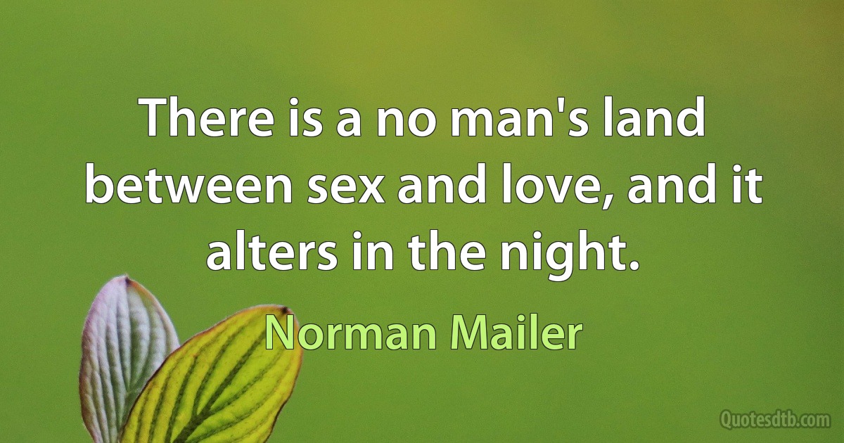 There is a no man's land between sex and love, and it alters in the night. (Norman Mailer)