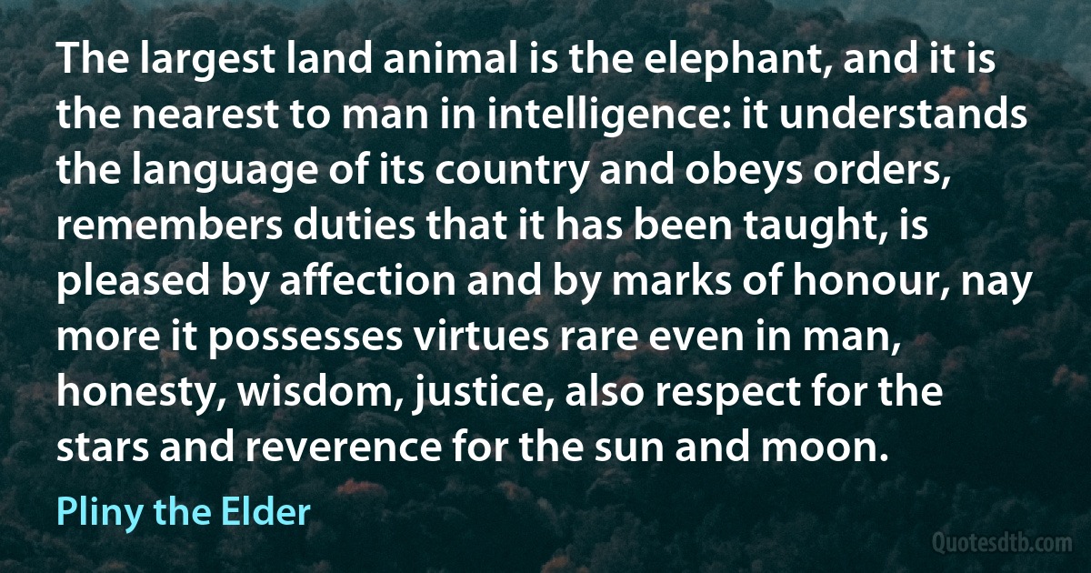 The largest land animal is the elephant, and it is the nearest to man in intelligence: it understands the language of its country and obeys orders, remembers duties that it has been taught, is pleased by affection and by marks of honour, nay more it possesses virtues rare even in man, honesty, wisdom, justice, also respect for the stars and reverence for the sun and moon. (Pliny the Elder)