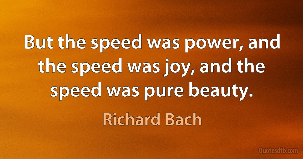 But the speed was power, and the speed was joy, and the speed was pure beauty. (Richard Bach)