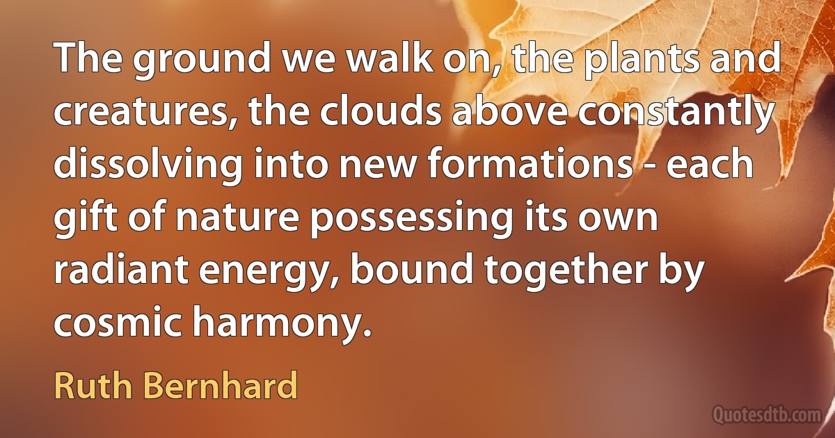 The ground we walk on, the plants and creatures, the clouds above constantly dissolving into new formations - each gift of nature possessing its own radiant energy, bound together by cosmic harmony. (Ruth Bernhard)