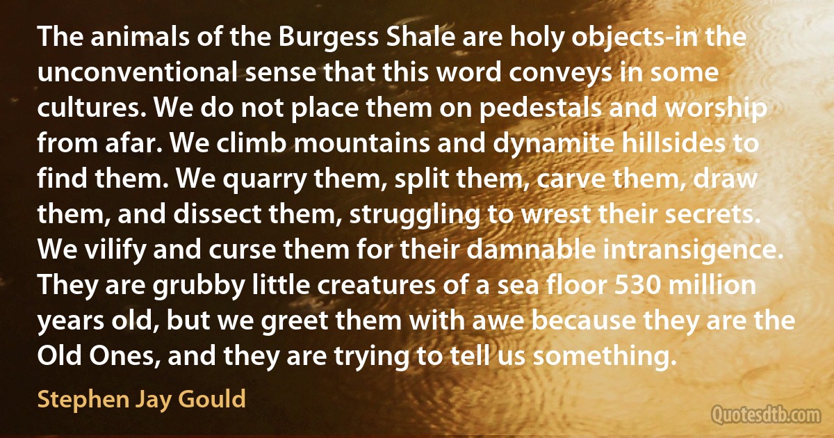 The animals of the Burgess Shale are holy objects-in the unconventional sense that this word conveys in some cultures. We do not place them on pedestals and worship from afar. We climb mountains and dynamite hillsides to find them. We quarry them, split them, carve them, draw them, and dissect them, struggling to wrest their secrets. We vilify and curse them for their damnable intransigence. They are grubby little creatures of a sea floor 530 million years old, but we greet them with awe because they are the Old Ones, and they are trying to tell us something. (Stephen Jay Gould)