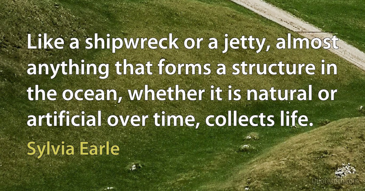 Like a shipwreck or a jetty, almost anything that forms a structure in the ocean, whether it is natural or artificial over time, collects life. (Sylvia Earle)