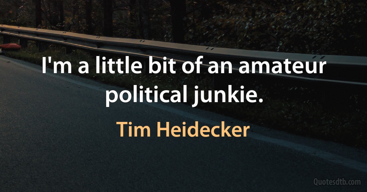 I'm a little bit of an amateur political junkie. (Tim Heidecker)