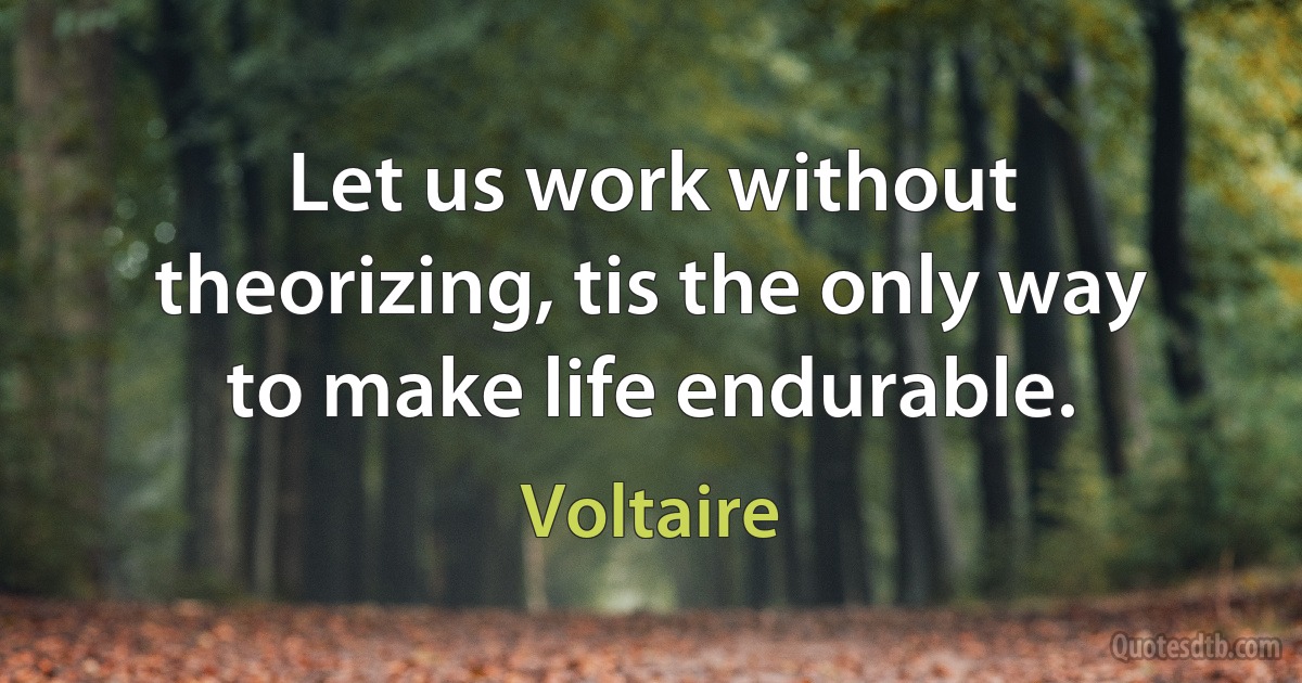 Let us work without theorizing, tis the only way to make life endurable. (Voltaire)