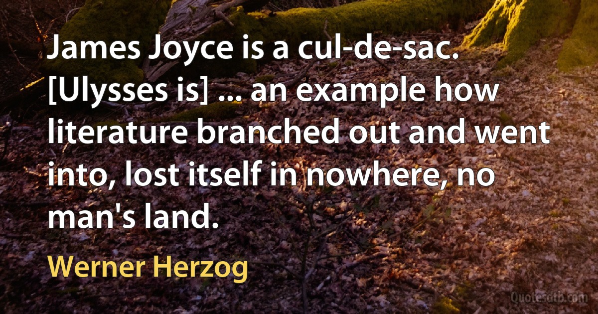 James Joyce is a cul-de-sac. [Ulysses is] ... an example how literature branched out and went into, lost itself in nowhere, no man's land. (Werner Herzog)