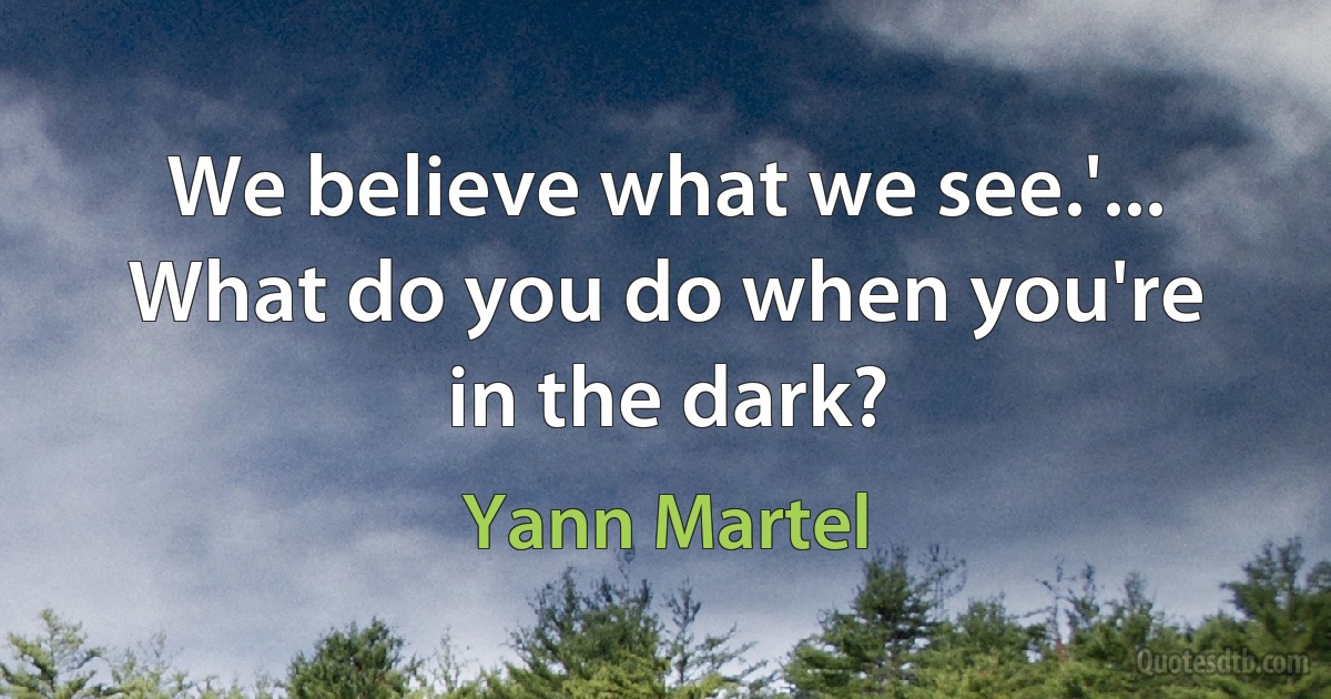 We believe what we see.'... What do you do when you're in the dark? (Yann Martel)