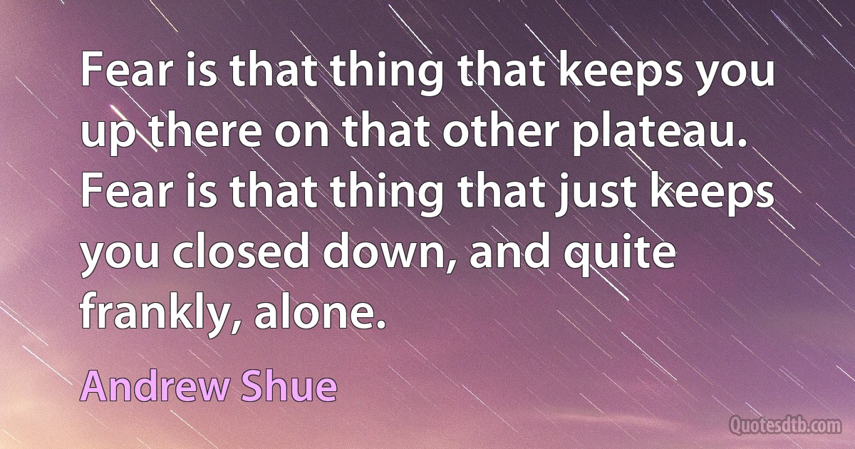 Fear is that thing that keeps you up there on that other plateau. Fear is that thing that just keeps you closed down, and quite frankly, alone. (Andrew Shue)