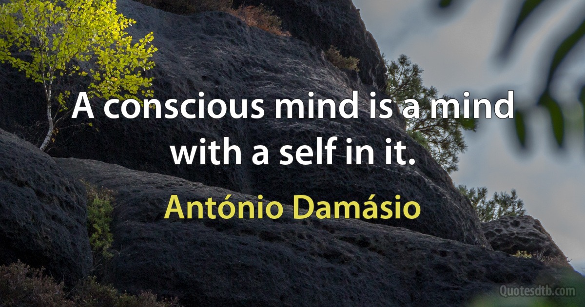 A conscious mind is a mind with a self in it. (António Damásio)