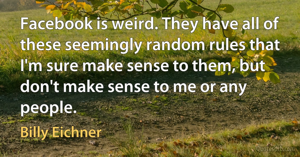 Facebook is weird. They have all of these seemingly random rules that I'm sure make sense to them, but don't make sense to me or any people. (Billy Eichner)