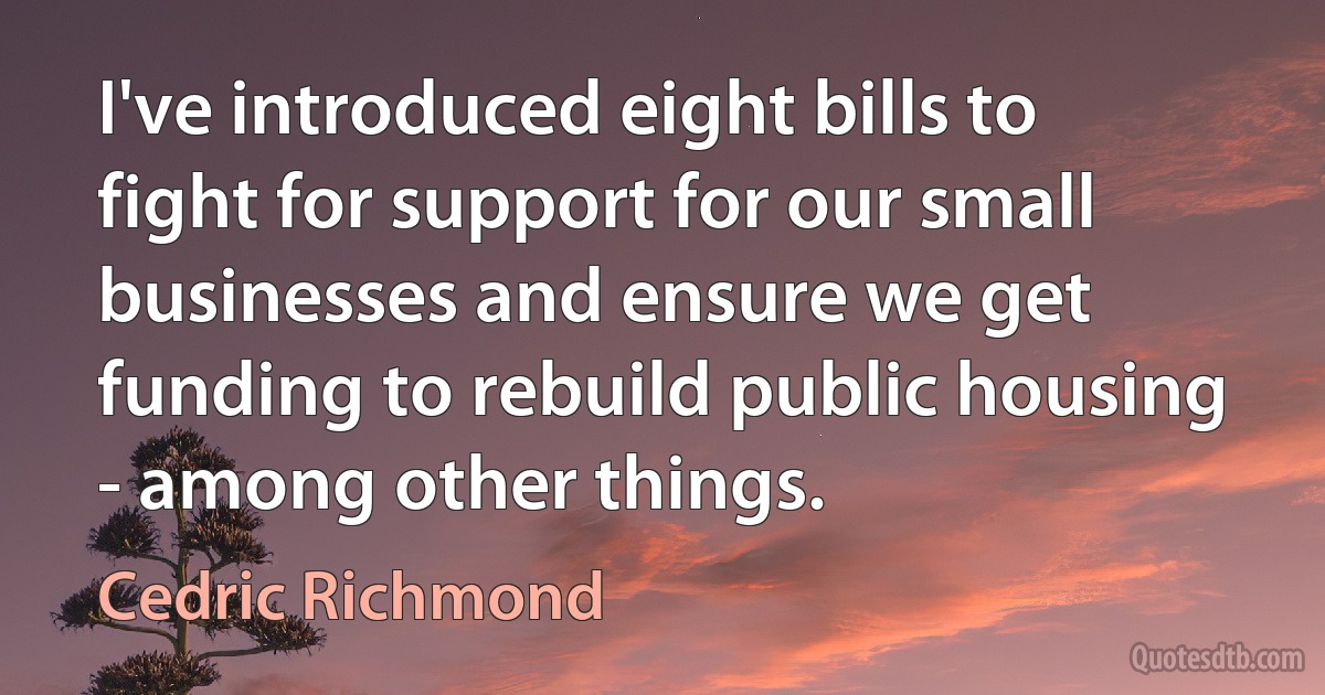 I've introduced eight bills to fight for support for our small businesses and ensure we get funding to rebuild public housing - among other things. (Cedric Richmond)