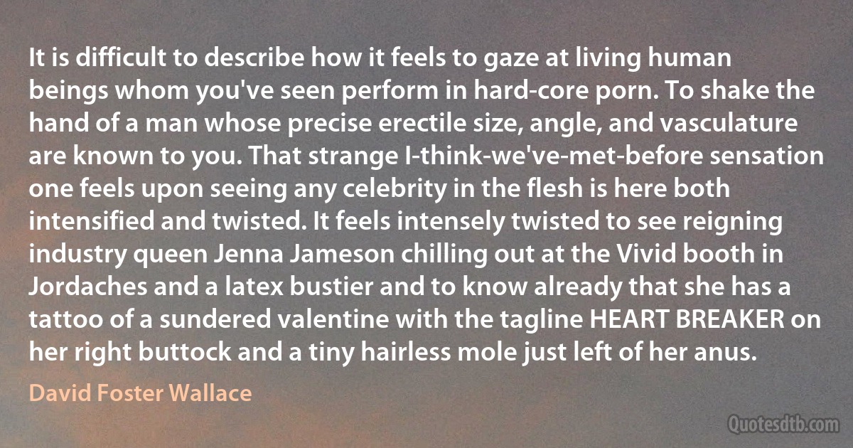 It is difficult to describe how it feels to gaze at living human beings whom you've seen perform in hard-core porn. To shake the hand of a man whose precise erectile size, angle, and vasculature are known to you. That strange I-think-we've-met-before sensation one feels upon seeing any celebrity in the flesh is here both intensified and twisted. It feels intensely twisted to see reigning industry queen Jenna Jameson chilling out at the Vivid booth in Jordaches and a latex bustier and to know already that she has a tattoo of a sundered valentine with the tagline HEART BREAKER on her right buttock and a tiny hairless mole just left of her anus. (David Foster Wallace)